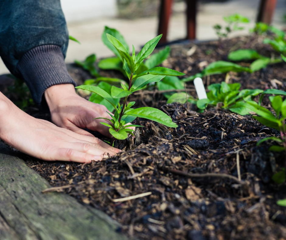 Composting 